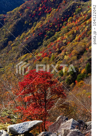 奥日光・社山稜線から見る紅葉の山並み 奥日光・社山稜線から見る紅葉の山並み 104122042