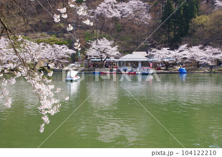 臥竜公園さくらまつり 104122210