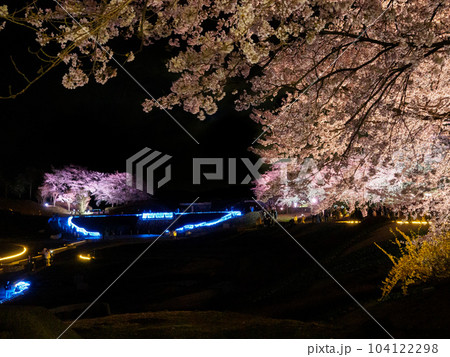 国営みちのく杜の湖畔公園の夜桜 104122298