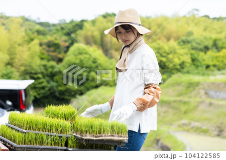 田んぼと若い女性 田んぼと若い女性 104122585