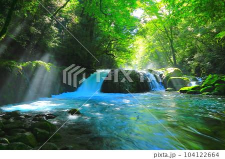 光さす夏の菊池渓谷（黎明の滝） 104122664