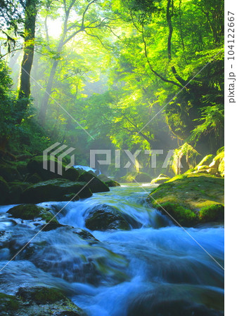 光さす夏の菊池渓谷（縦構図） 104122667