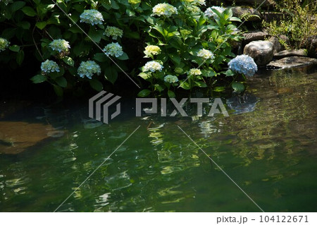 梅雨の晴れ間の大野城下 104122671