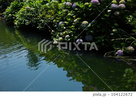 梅雨の晴れ間の大野城下 104122672