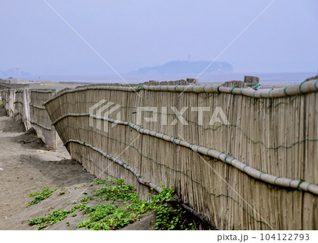 茅ケ崎海岸の砂防柵 104122793