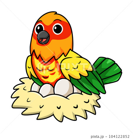 Cute yellow and green parrot lovebird cartoon with eggs in the nest Cute yellow and green parrot lovebird cartoon with eggs in the nest 104122852