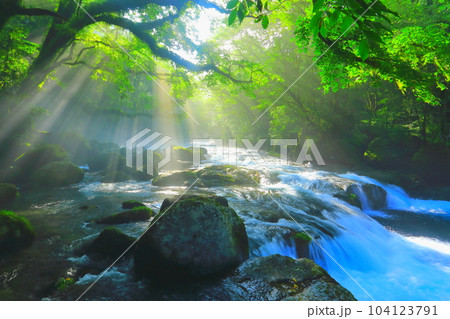 光さす夏の菊池渓谷 104123791