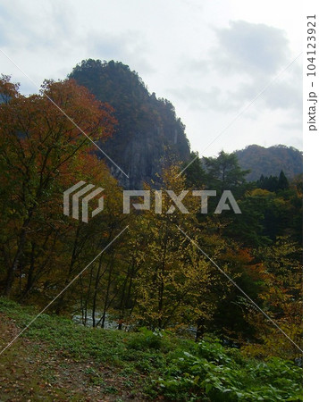 トロッコ電車で行く大自然を満喫できる黒部峡谷 104123921