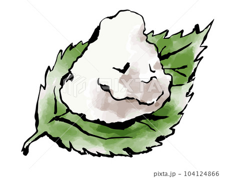 大葉と大根おろし　手描きイラスト 104124866