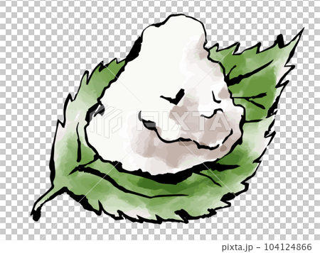 大葉と大根おろし　手描きイラスト 104124866