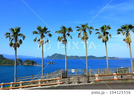 日南海岸　南郷の海とフェニックスの木 104125556