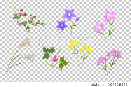 Autumn seven herbs 104126181