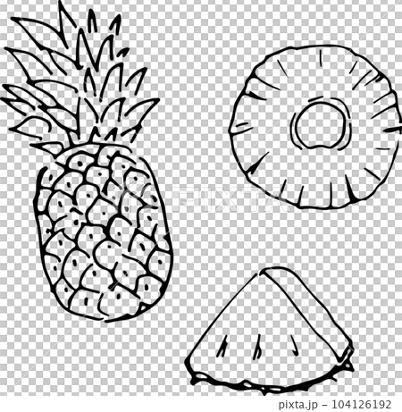 Illustration of pineapple and cut pineapple (handwritten) Illustration of pineapple and cut pineapple (handwritten) 104126192