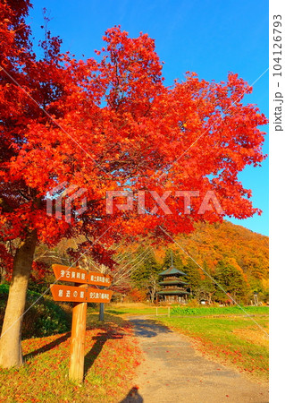 安久津八幡神社 紅葉 黄葉 安久津八幡神社 紅葉 黄葉 104126793