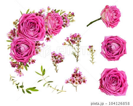 Set of pink roses and chamelaucium flowers and a corner floral arrangement isolated on white 104126858