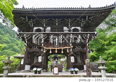 6月に参る京都市西京区善峯寺の荘厳な山門 104127018