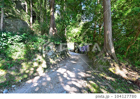 近江国 観音寺城 曲輪と石垣跡の風景 近江国 観音寺城 曲輪と石垣跡の風景 104127780