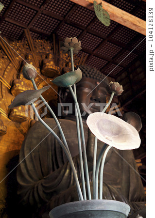 東大寺 大仏殿 盧舎那(毘盧遮那)仏の前に咲く蓮の花 東大寺 大仏殿 盧舎那(毘盧遮那)仏の前に咲く蓮の花 104128139