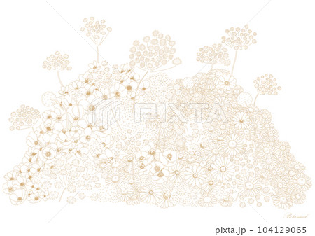 花のラインイラストボタニカル素材 花のラインイラストボタニカル素材 104129065