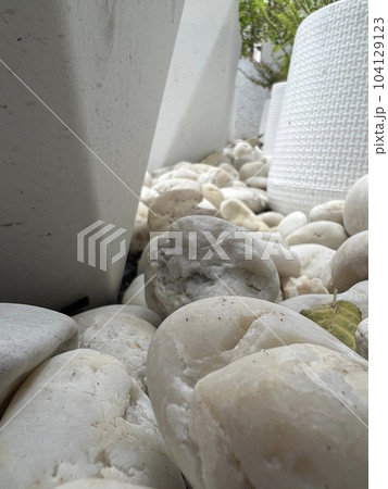 Plants in white pots Plants in white pots 104129123