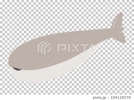 Sakabanba 香料的矢量圖解 104129379