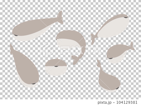 サカバンバスピスたちが泳ぐベクターイラスト 104129381