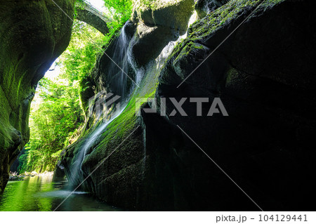 春の由布川峡谷　大分県由布市 104129441