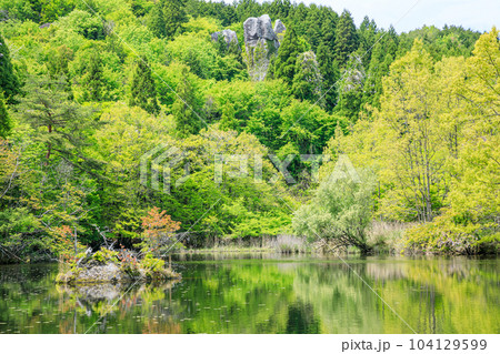 新緑の鶴ヶ原の景　大分県玖珠郡 104129599