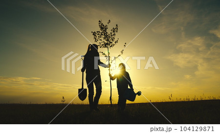 fresh tree seedling sunset, young roots, soil ground, plant garden, silhouette happiness family mother child, senior farmer with child kid daughter girl plants tree garden, sunny spring summer, sunset 104129871