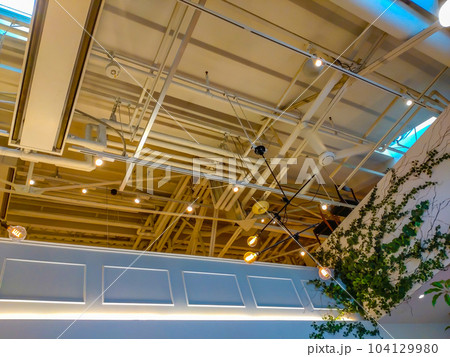 配管がむき出しの天井とツタ植物 配管がむき出しの天井とツタ植物 104129980