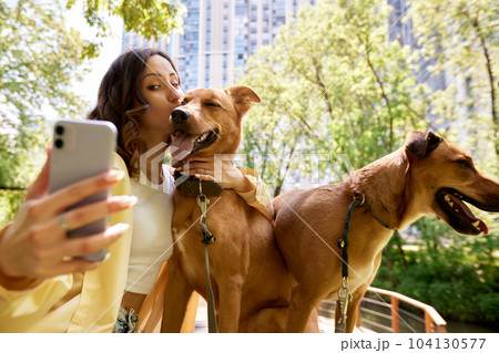 Young charming smiling girl is resting while walking in the park with two golden dogs. The girl hugs her pets and takes a selfie. Love and affection between owner and pet. Adopting a pet. 104130577