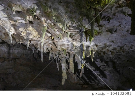 秋芳洞　傘づくし 104132093