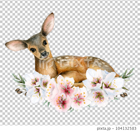 Watercolor young baby deer in pink white flowers wreath illustration isolated on white background. Hand drawn animal clipart for cards, stickers, invitations Watercolor young baby deer in pink white flowers wreath illustration isolated on white background. Hand drawn animal clipart for cards, stickers, invitations 104132583