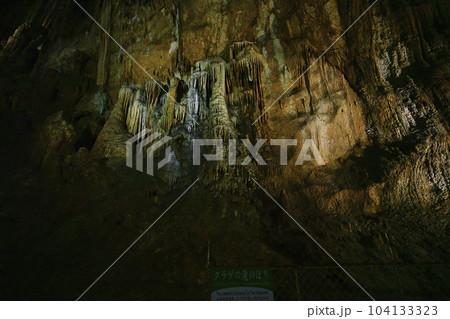秋芳洞 クラゲの滝のぼり 秋芳洞 クラゲの滝のぼり 104133323