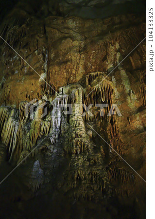 秋芳洞　クラゲの滝のぼり 104133325