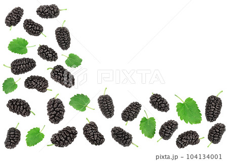 Mulberry with leaf isolated on white background with copy space for your text. Top view. Flat lay 104134001