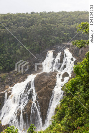 ケアンズ郊外のスカイレールの展望台から見たバロン滝 104134253