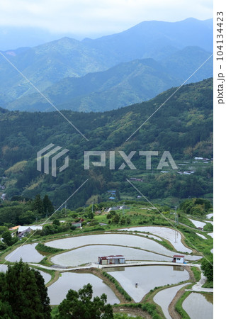穴内の棚田 急峻な山に囲まれた土地 (高知県 大豊町) 穴内の棚田 急峻な山に囲まれた土地 (高知県 大豊町) 104134423