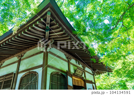 京都市右京区 地蔵院(竹の寺) 京都市右京区 地蔵院(竹の寺) 104134591