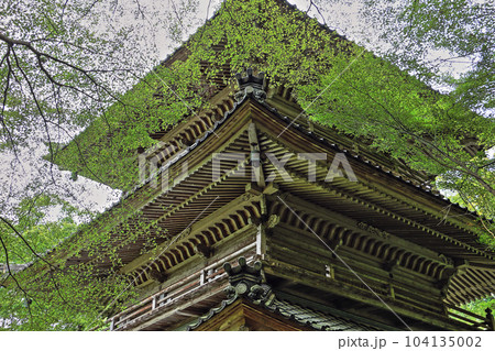 新緑の高源寺 新緑の高源寺 104135002