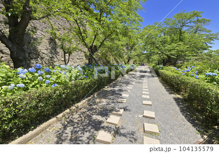 津山城  切手門跡へ続く通路（岡山県津山市） 104135579