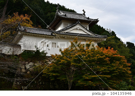 秋の出石城跡 104135946