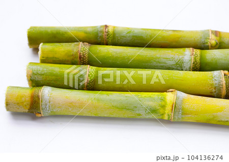 Sugar cane on white background. Sugar cane on white background. 104136274