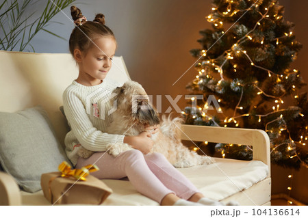 Beautiful little girl kid with funny hair buns playing with her favorite Pekingese dog on cough. Girl cares about pet at home and celebrating Christmas together. 104136614