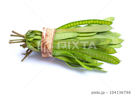 Young fruit of leucaena leucocephala isolated on white background. 104136798