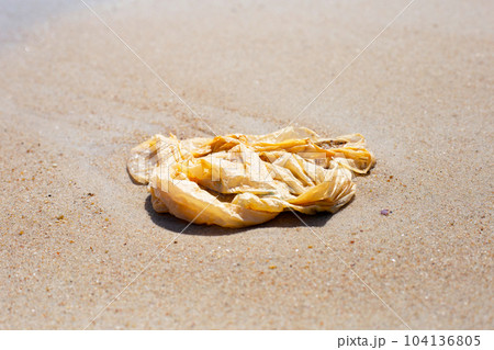 Plastic bag pollution on the beach 104136805