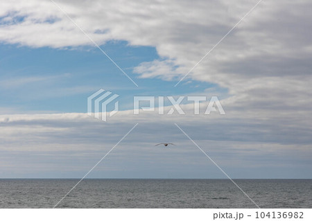 霧多布岬から眺める風景「秋の北海道」 霧多布岬から眺める風景「秋の北海道」 104136982
