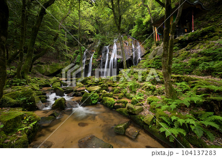 金引の滝  初夏（京都府宮津市） 104137283