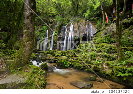 金引の滝 初夏(京都府宮津市) 金引の滝 初夏(京都府宮津市) 104137326