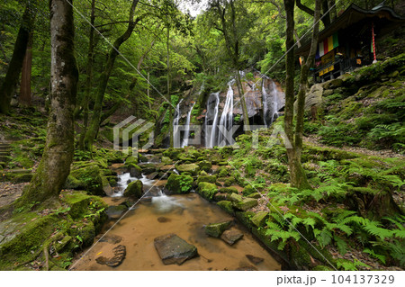 金引の滝  初夏（京都府宮津市） 104137329